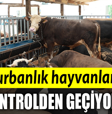 KURBAN