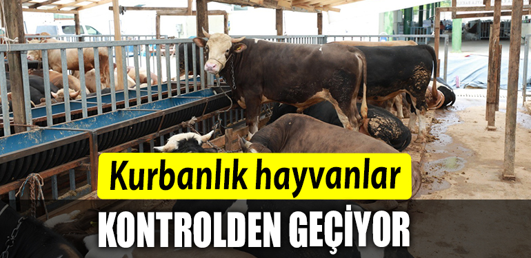 KURBAN
