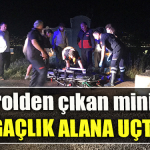 Kocaeli' de Kontrolden çıkan minibüs ağaçlık alana uçtu