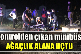 Kocaeli' de Kontrolden çıkan minibüs ağaçlık alana uçtu
