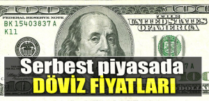 Serbest piyasada döviz fiyatları