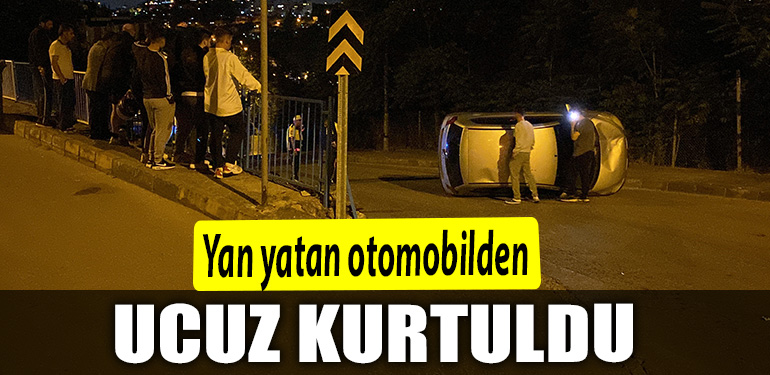 UCUZ