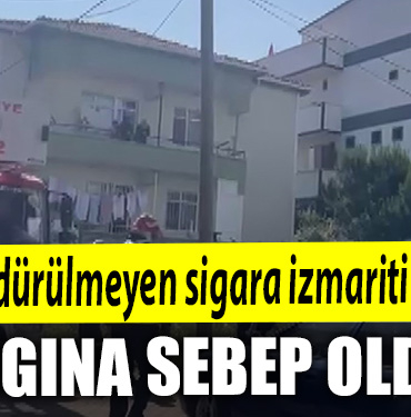 YANGINNN