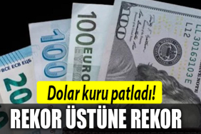 dolar rekor 23