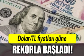 dolar rekor