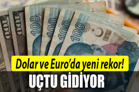 dolar uero rekorü
