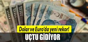 dolar uero rekorü