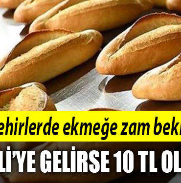 ekmek zam kocaeli ekmek zammı