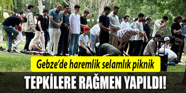 gebze teknik haremlik selamlık