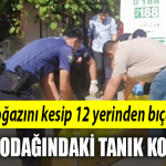 kocaeli cinayet