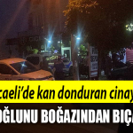 kocaeli cinayet