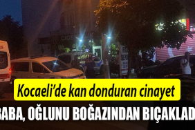 kocaeli cinayet