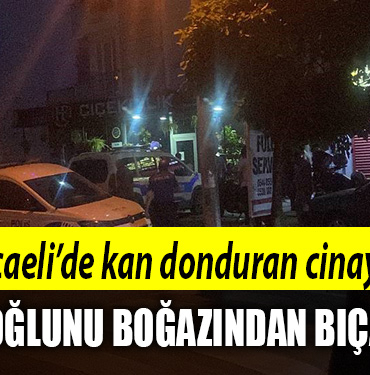 kocaeli cinayet