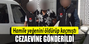 kocaeli cinayet yeğen