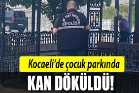 kocaeli çocuk parkı