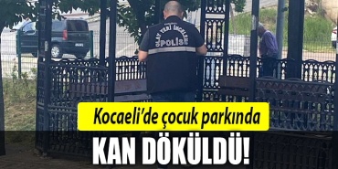 kocaeli çocuk parkı