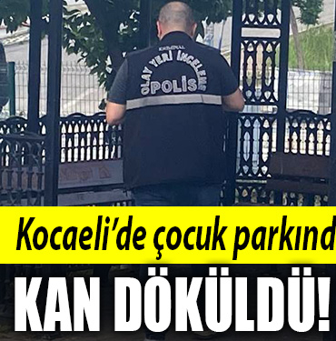 kocaeli çocuk parkı