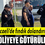 kocaeli fındık dolandırıcı
