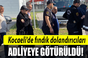 kocaeli fındık dolandırıcı
