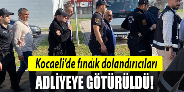 kocaeli fındık dolandırıcı