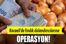 kocaeli fındık dolandırıcı