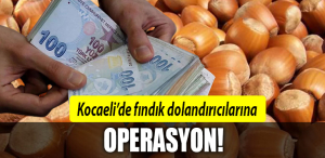 kocaeli fındık dolandırıcı