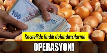 kocaeli fındık dolandırıcı