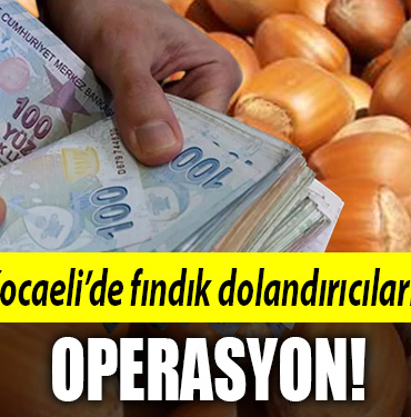 kocaeli fındık dolandırıcı