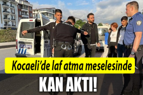 kocaeli kan aktı