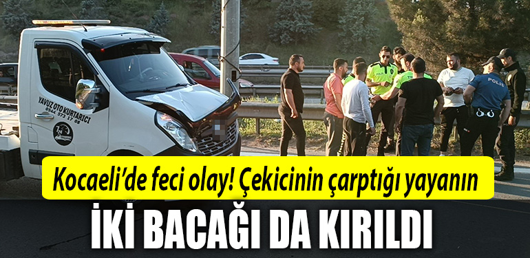 kocaeli kaza .çekici
