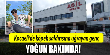 kocaeli köpek saldırısı