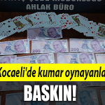 kocaeli kumar baskın