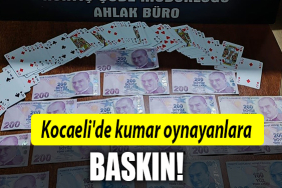 kocaeli kumar baskın