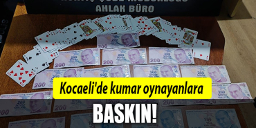 kocaeli kumar baskın
