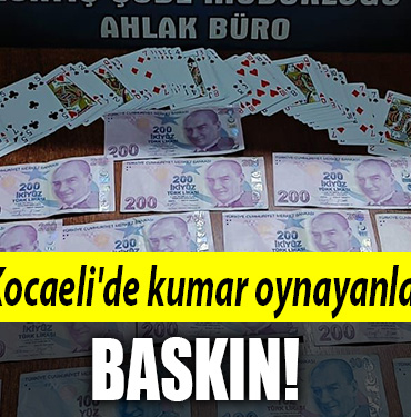 kocaeli kumar baskın