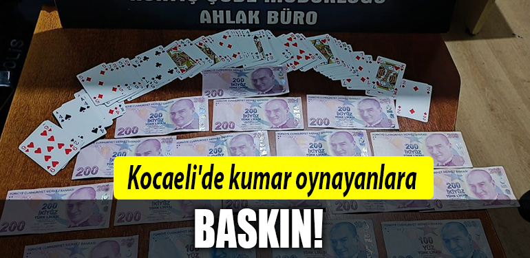 kocaeli kumar baskın