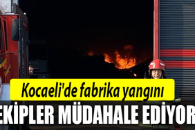 kocaeli osb fabrika yangını