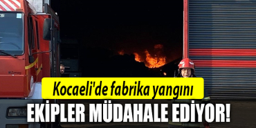 kocaeli osb fabrika yangını
