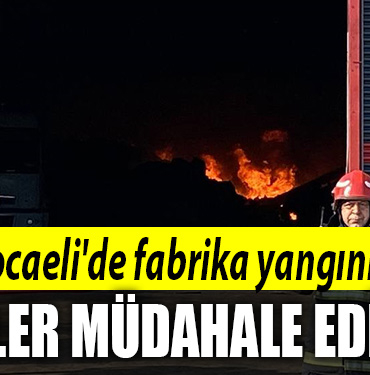 kocaeli osb fabrika yangını