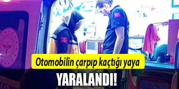 kocaeli otomobil kaza yaya