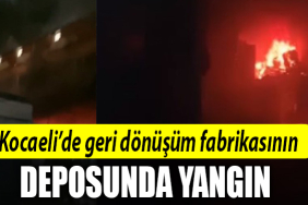 kocaeli yangın