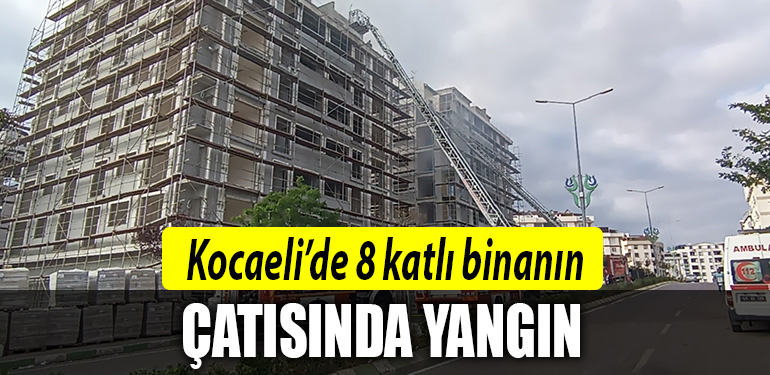 kocaeli yangın