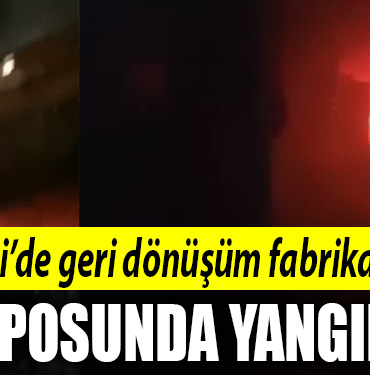 kocaeli yangın