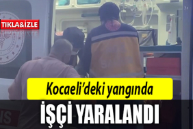 kocaeli yangın