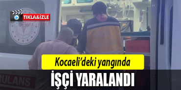 kocaeli yangın