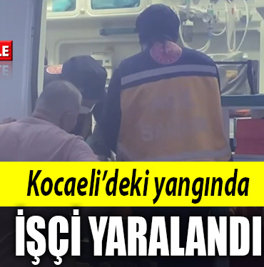 kocaeli yangın