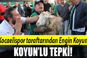 kocaelispor koyun engin koyun