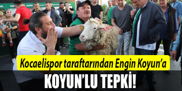kocaelispor koyun engin koyun