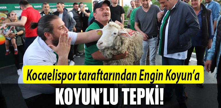 kocaelispor koyun engin koyun