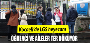 lgs